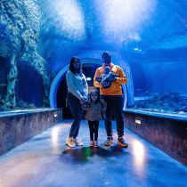 Aptive Environmental-foto van: 2025 Customer Appreciation Night @ the Loveland Aquarium
