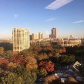 Foto voor GAINSCO: View from the break room