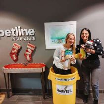 Definity-foto van: Petline holiday donations
